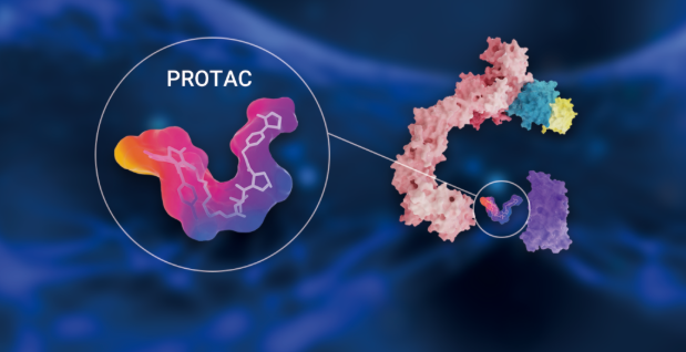 PROTAC Ternary Complex